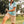 Load image into Gallery viewer, Waterlemon Classic Sport Polo
